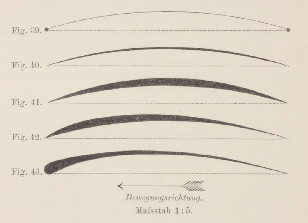 Profili curvi di Lilienthal